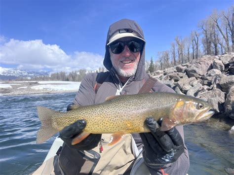 snake river fishing|Snake River Angler Fly Fishing Report for March 18th, 2025.